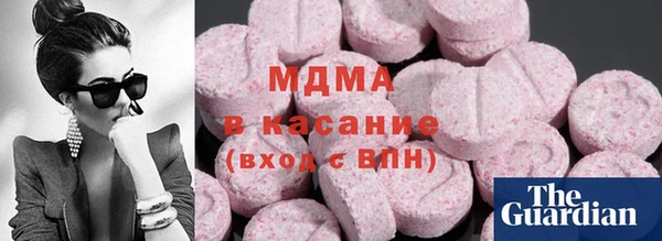 ECSTASY Бородино